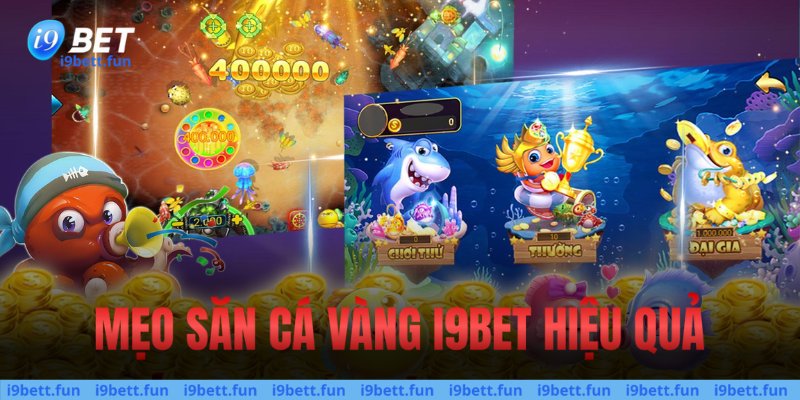 Mẹo săn cá vàng i9bet hiệu quả
