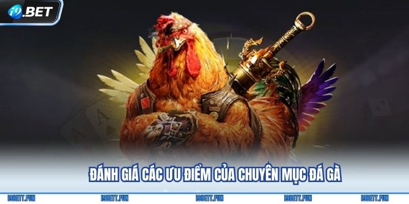 Đánh giá các ưu điểm của chuyên mục Đá gà