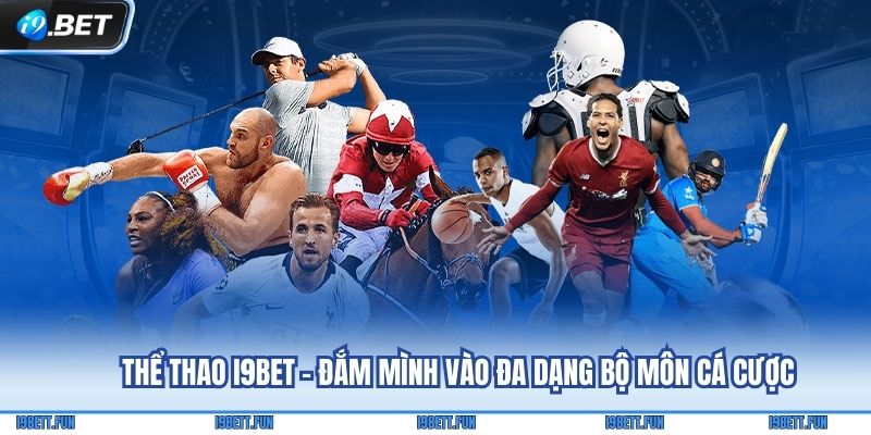 Một số bộ môn hot nên trải nghiệm tại chuyên mục
